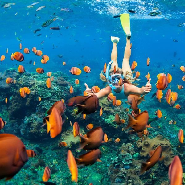 North-Bali-Menjangan