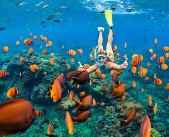 North-Bali-Menjangan