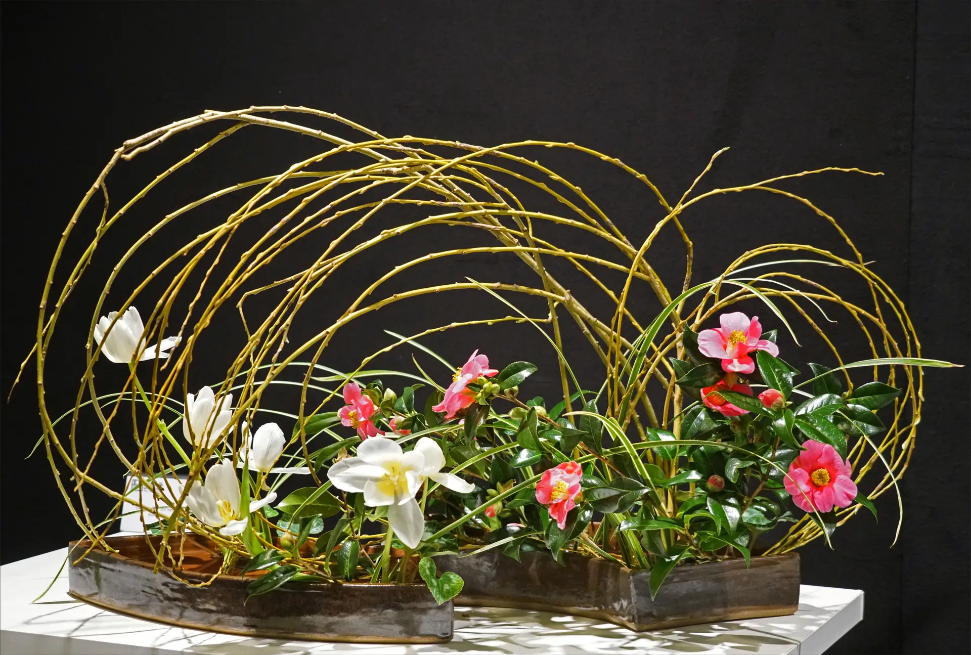 Bain thermal extérieur (onsen) en bois fumant face à une forêt de pins enneigée sous un ciel d'hiver au Japon.