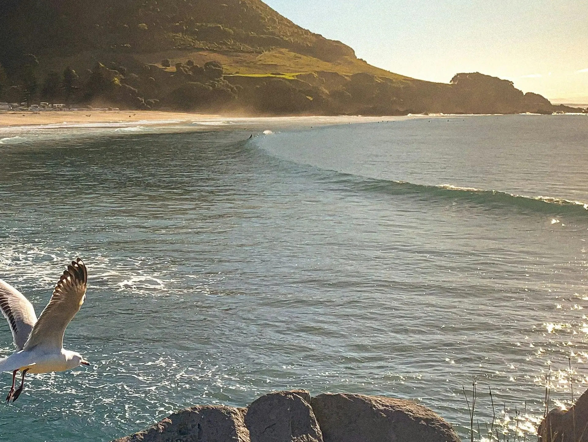 7 bonnes raisons de voyager en Nouvelle-Zélande avec une agence de voyages