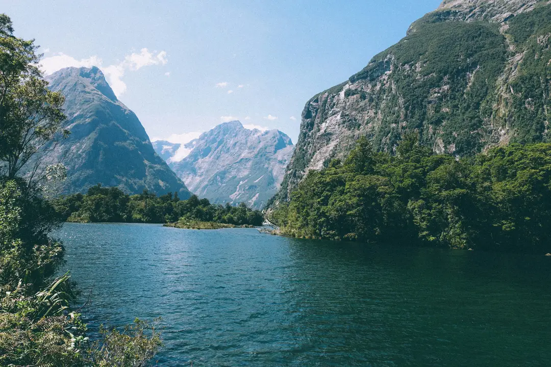 Eaux cristallines du Milford Sound bordées de forêts et montagnes abruptes