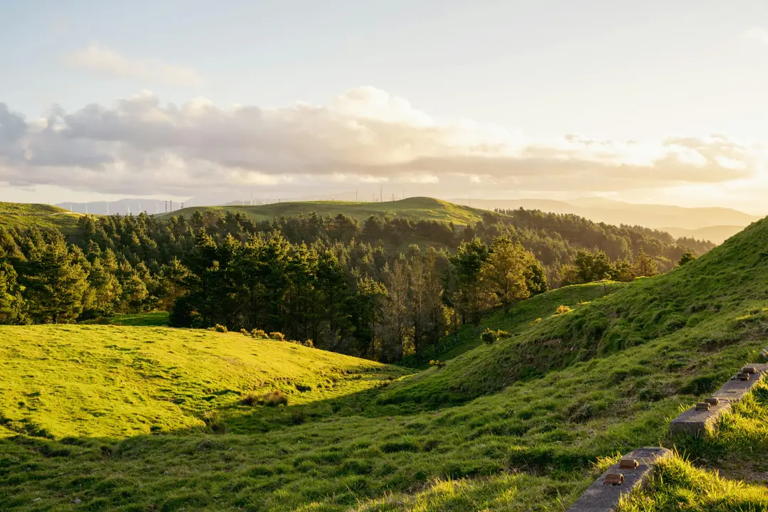 Collines verdoyantes éclairées par le soleil couchant près de Palmerston North