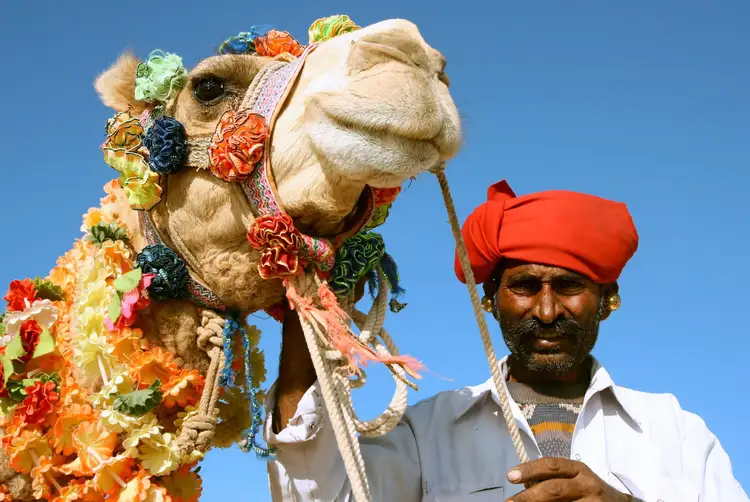 De Mandawa à Bikaner : fort de Junagarh, ruelles historiques et nuit en camp dans le désert du Thar