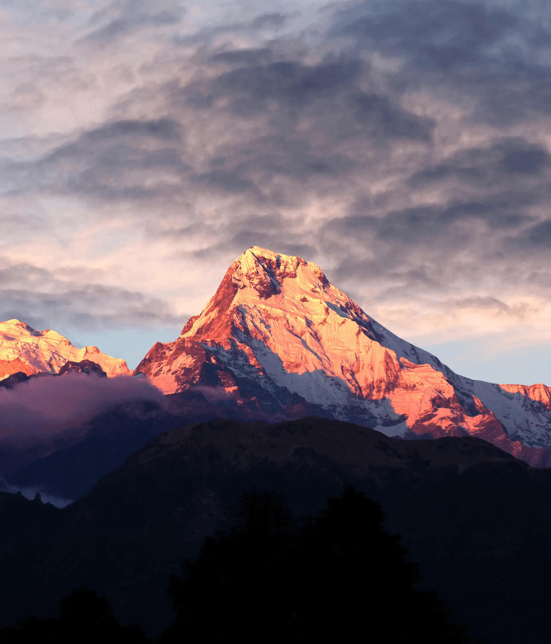 Trek en petit groupe au Népal : randonnée et panoramas majeurs sur les Annapurnas