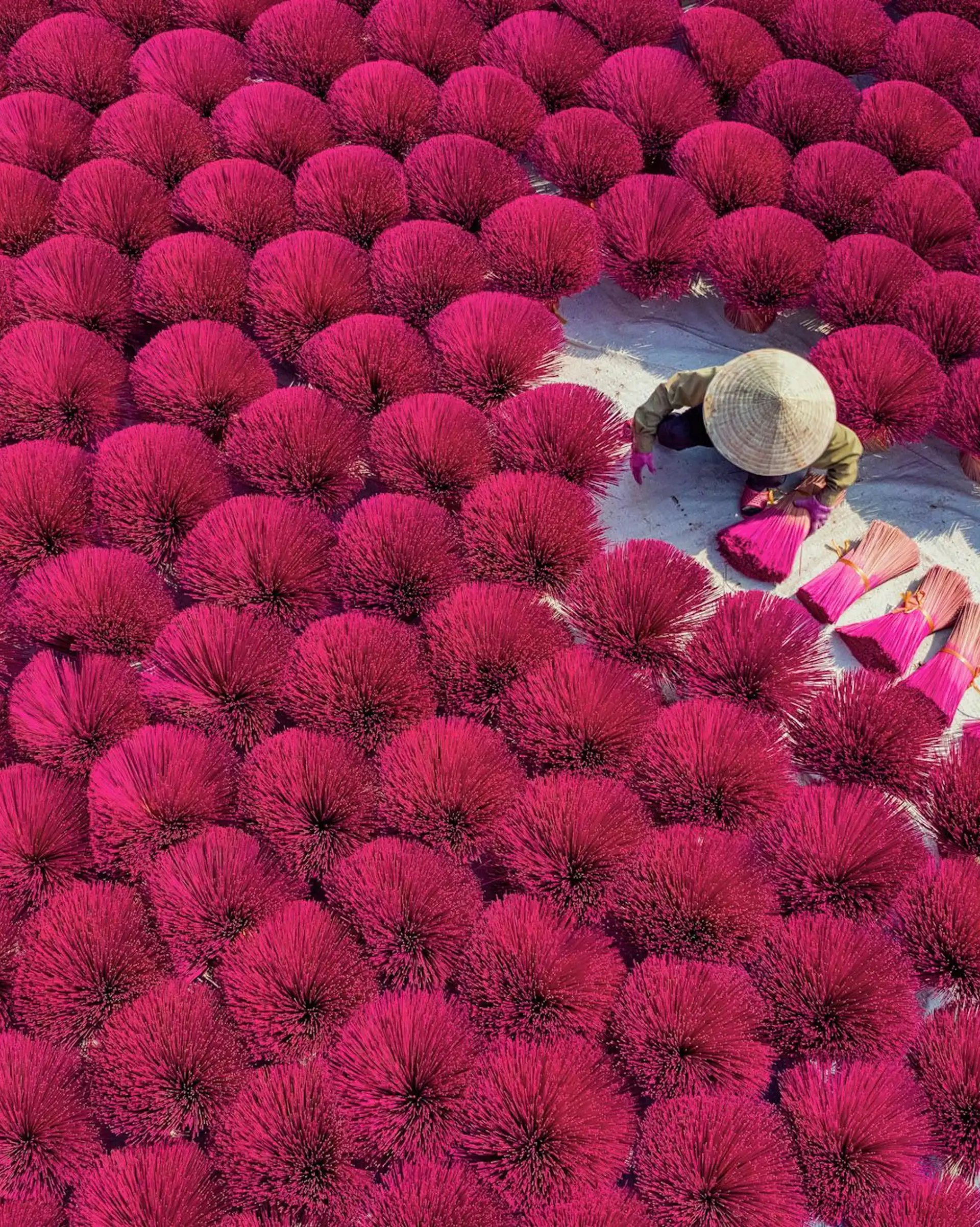Voyage au Vietnam : immersion culturelle et découverte du village artisanal d'encens de Quang Phu Cau