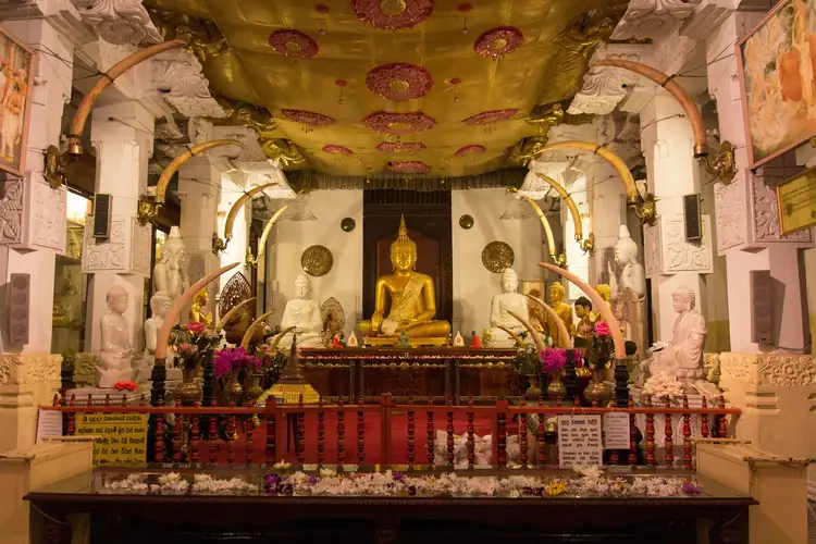 De Negombo à Kandy : danses traditionnelles et sanctuaire du Temple de la Dent