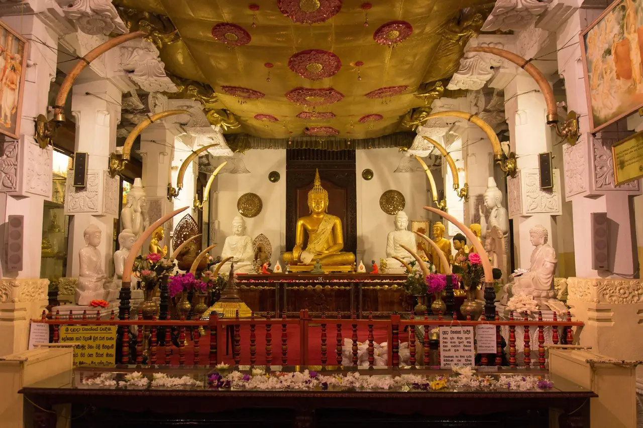 De Negombo à Kandy : danses traditionnelles et sanctuaire du Temple de la Dent