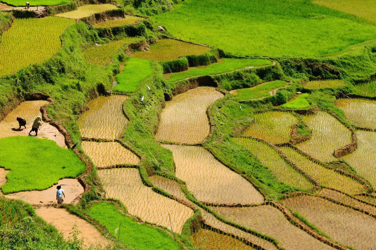 De Makassar à Rantepao : découverte des paysages karstiques de Rammang-Rammang et des grottes de Leang-Leang