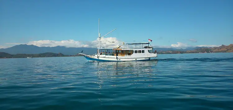 Voyage de Java à Bali : ascension du volcan Ijen et traversée en ferry vers Pemuteran