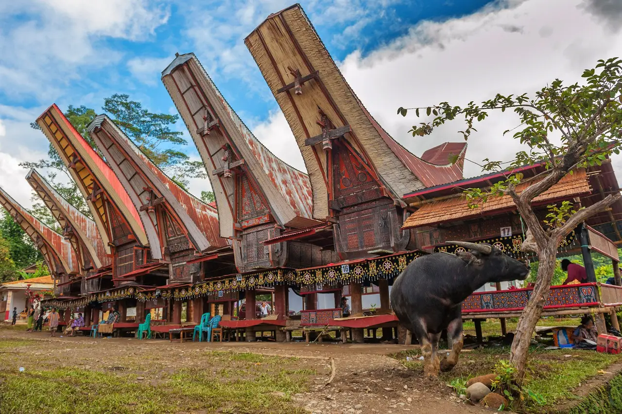 Randonnée à Rantepao : panoramas de Batutumonga, site de Marante et traditions toraja