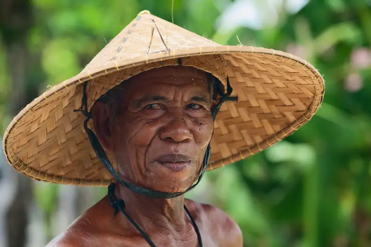 Voyage de Java à Bali : derniers instants à Ubud et transfert vers l'aéroport de Denpasar