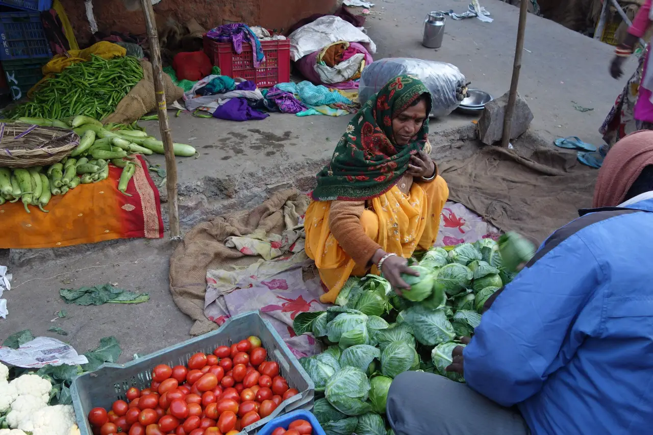 De Bundi à Jaipur : arrivée dans la ville rose, patrimoine royal et marchés locaux