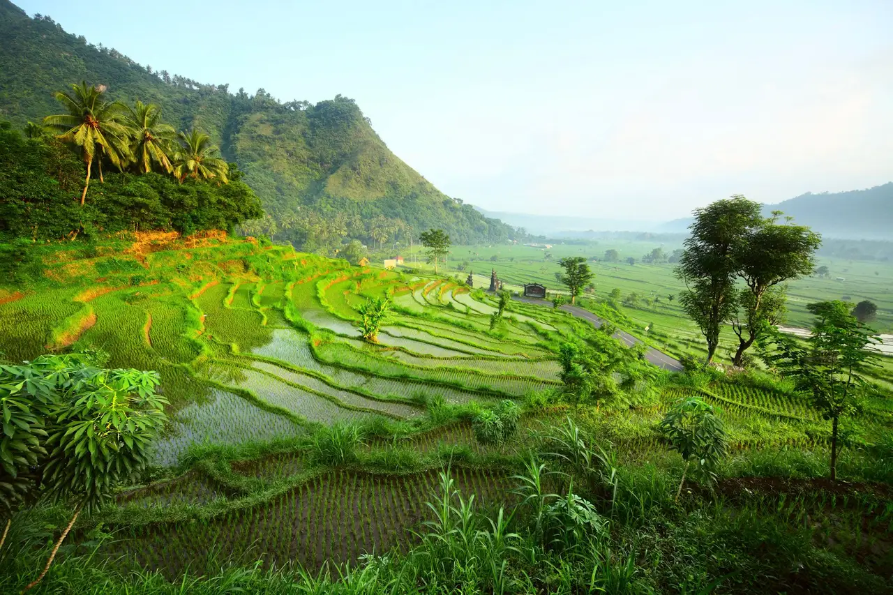 Voyage de Java à Bali : traditions locales à Mengwi et paysages des rizières de Jatiluwih