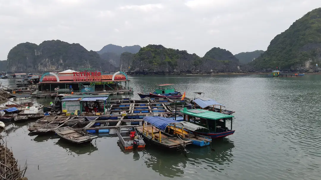 Voyage Vietnam : découverte d'un village flottant de pêcheurs dans la baie de Lan Ha