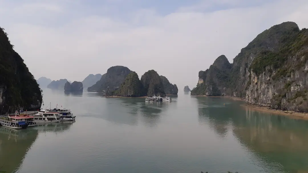 Voyage Vietnam : jonques de croisière au mouillage dans la baie d'Ha Long