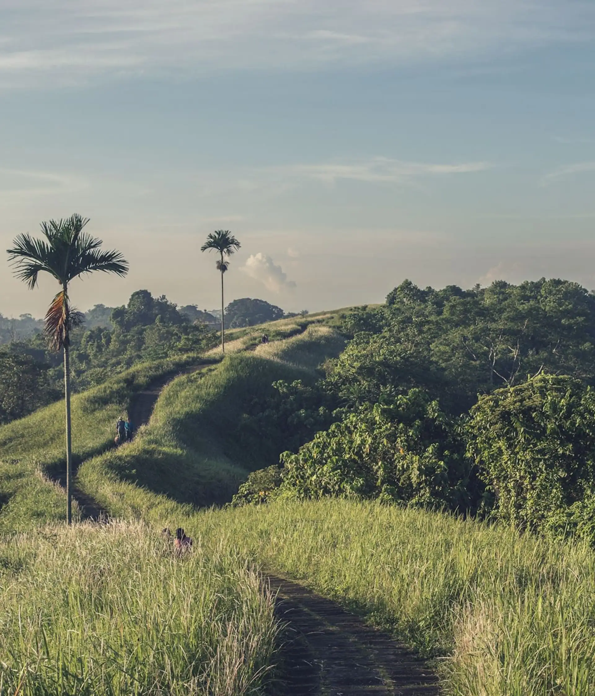 tempelbesuche-und-naturerlebnisse