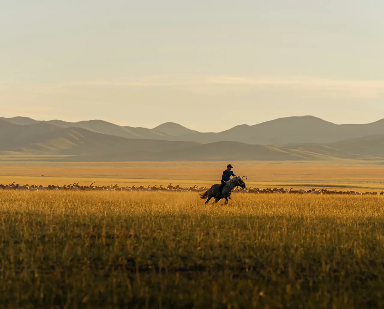 Cavalier sur son cheval au galop au milieu des montagnes
