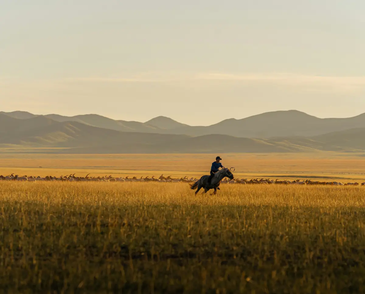 Cavalier sur son cheval au galop au milieu des montagnes