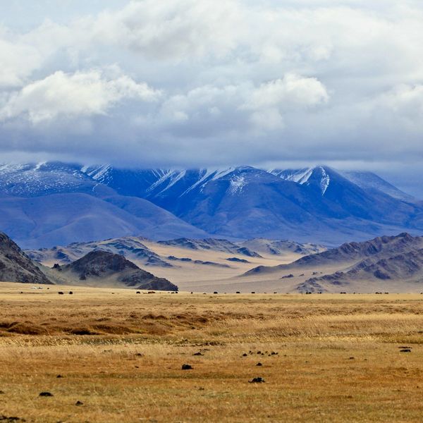 Steppes et montagnes en Mongolie