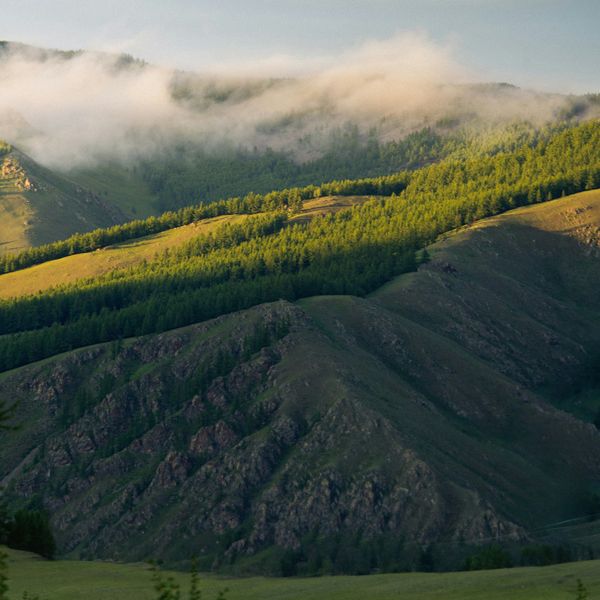 Vue sur des montagnes entièrement vertes
