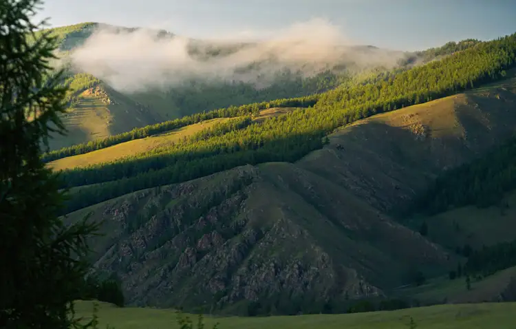 Vue sur des montagnes entièrement vertes