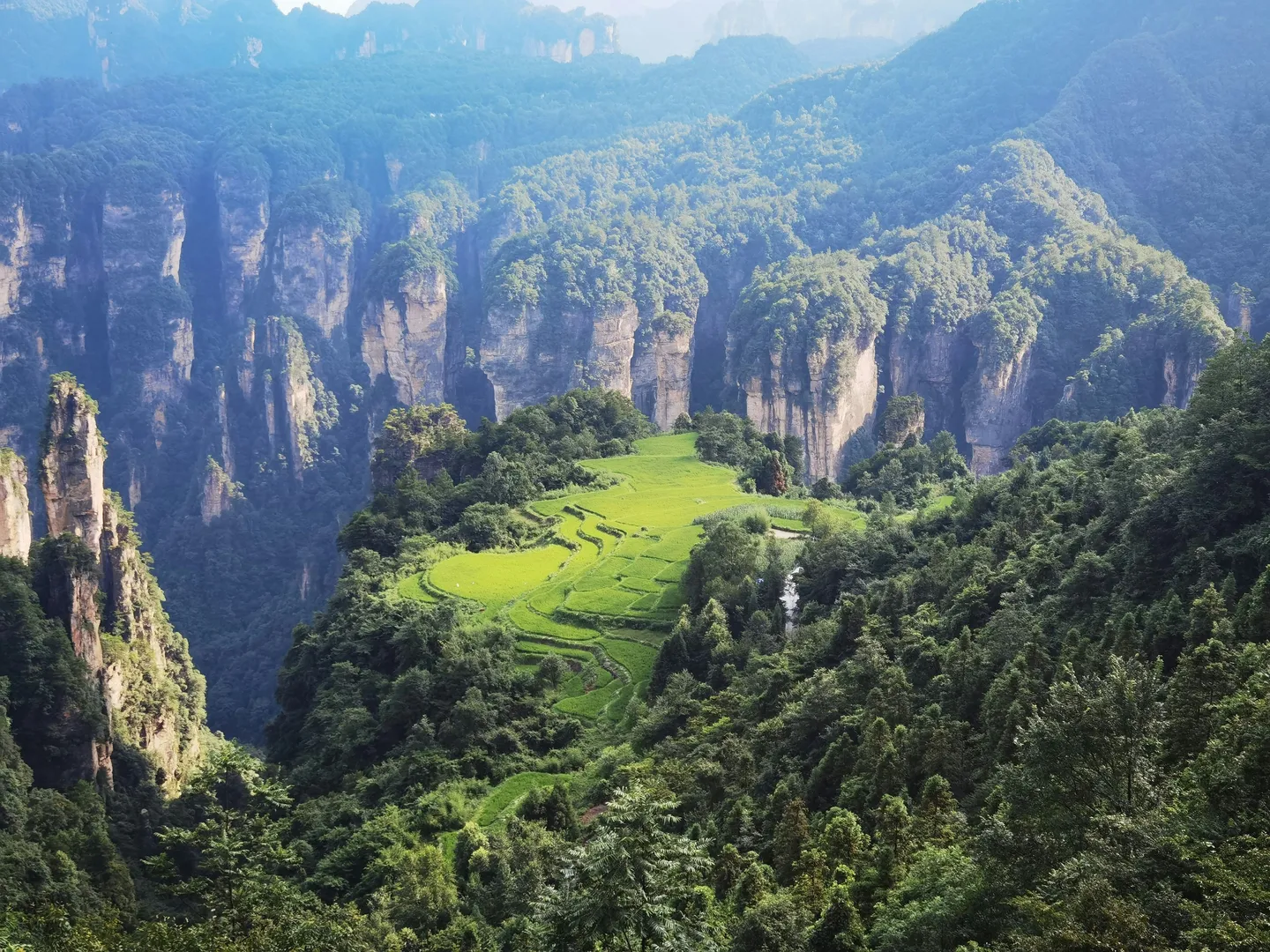 Vue aérienne sur le parc forestier de Zhangjiajie
