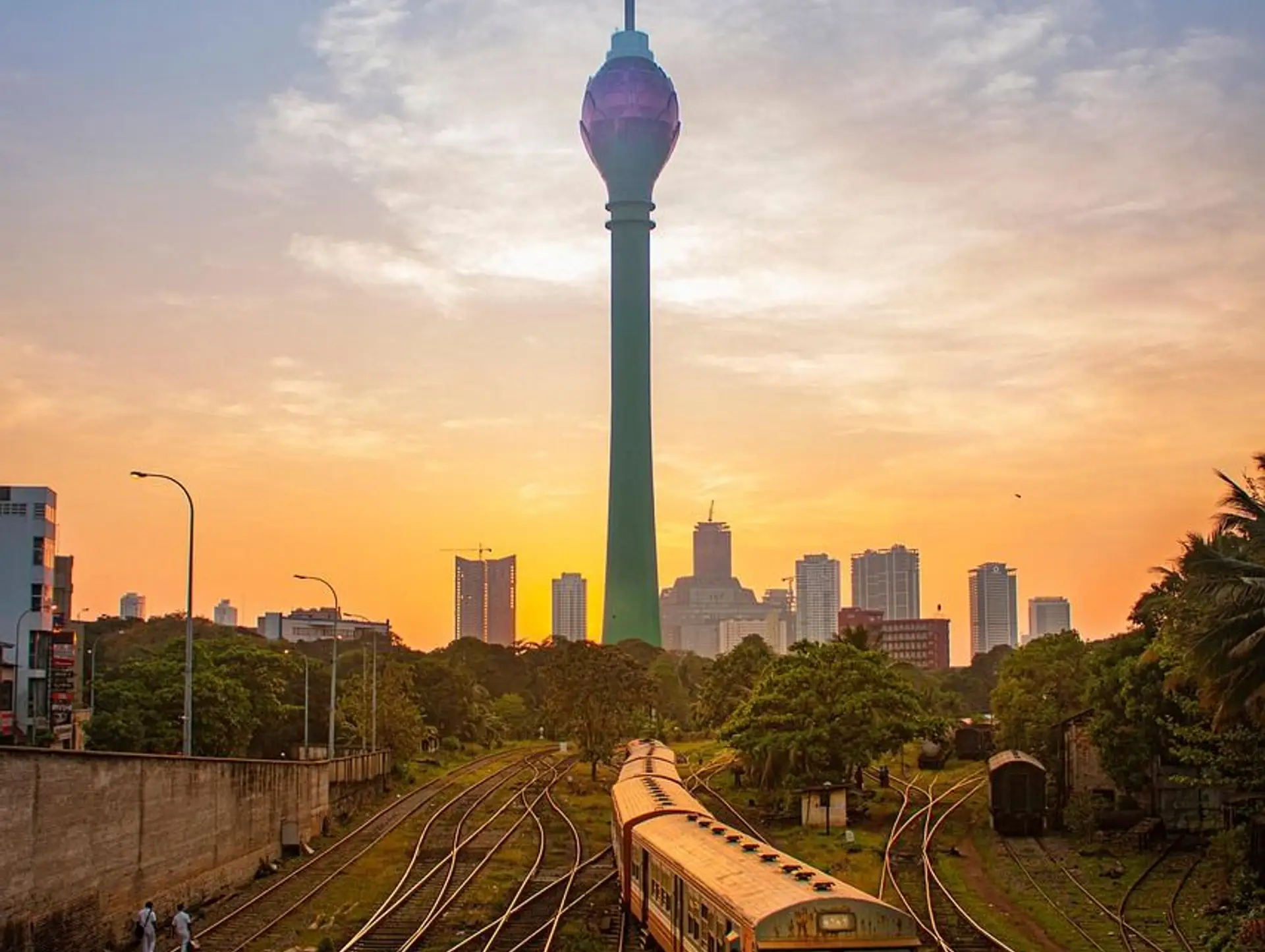 Les 5 activités incontournables au Sri Lanka