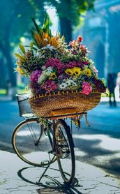 Travel in Asia - A large flower bouquet in the basket of a parked bicycle in Vietnam