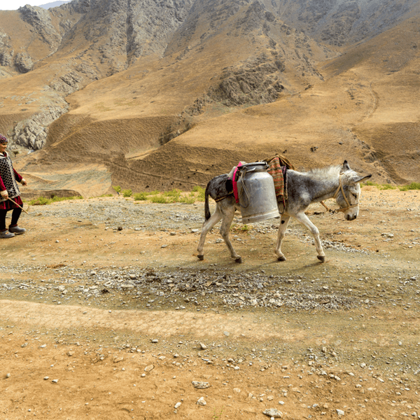 rencontre-population-locale-trek