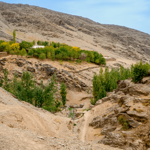 ouzbekistan-trek-immersif