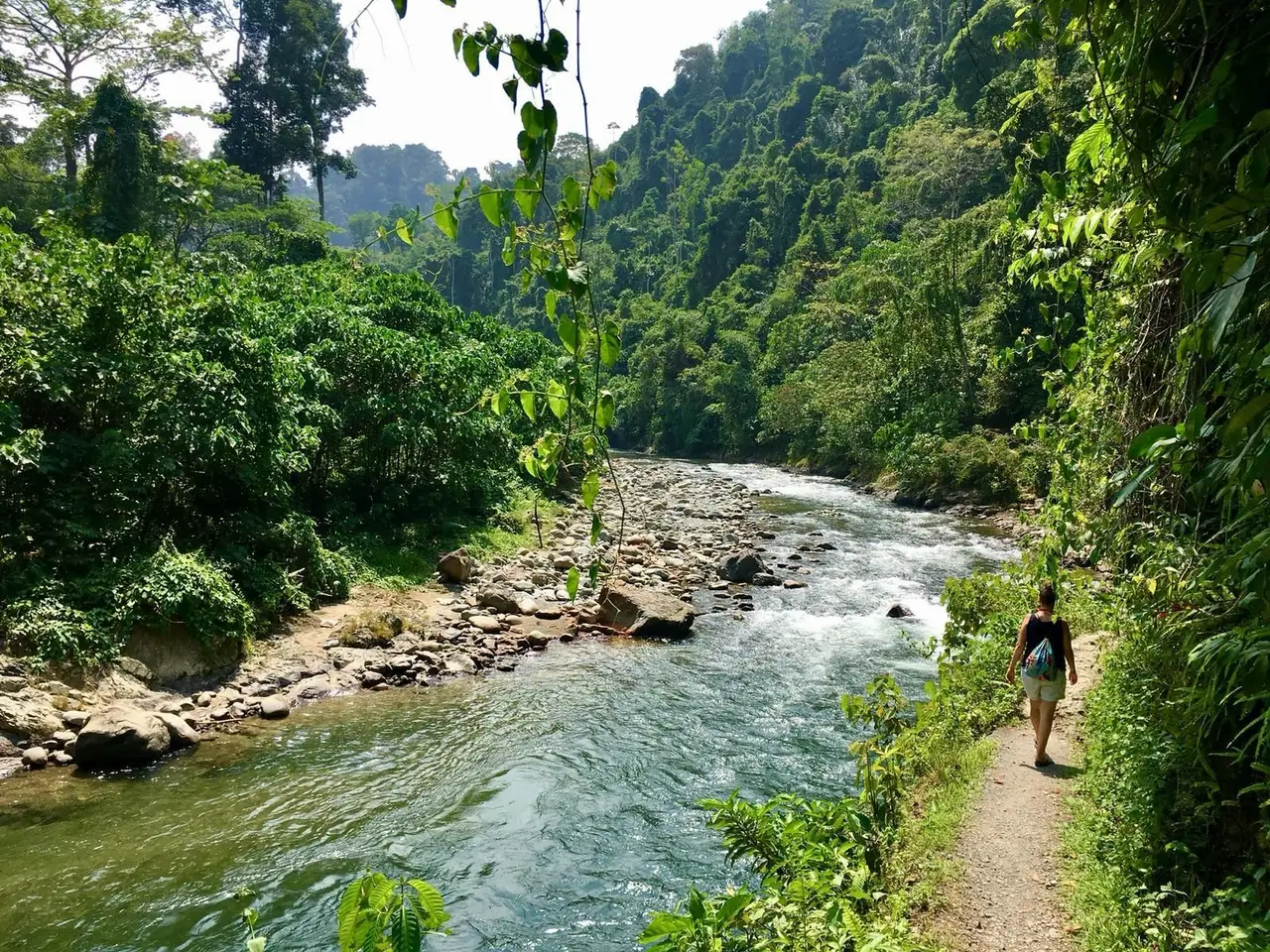 une trekkeuse dans la jungle de bukit lawang à côté de la rivière