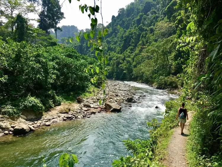 une trekkeuse dans la jungle de bukit lawang à côté de la rivière