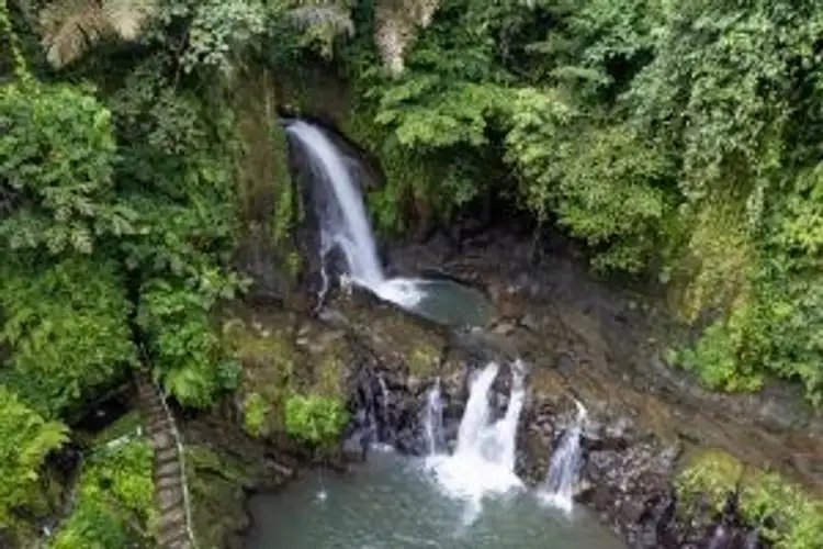 Voyage en Asie — Cascade dans la jungle luxuriante de Bali avec bassins naturels et végétation tropicale dense, accessible par un petit escalier en bois.