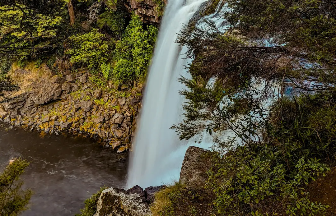Puissante cascade de Rainbow Falls nichée dans la forêt de Kerikeri