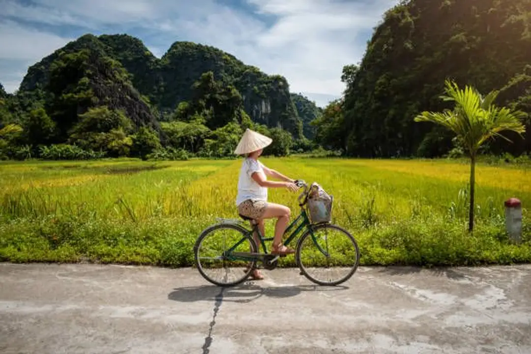 vietnam-ninh-binh-vélo-rizières.jpg