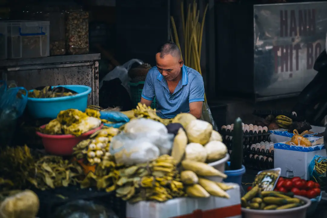 vietnam-hanoi-vieux-quartier-vendeur-fruits.jpg