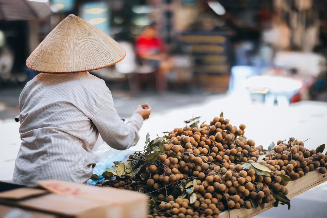 Une vendeuse portant un chapeau conique traditionnel vietnamien proposant des fruits frais sur un étal dans le Vieux quartier de Hanoï.