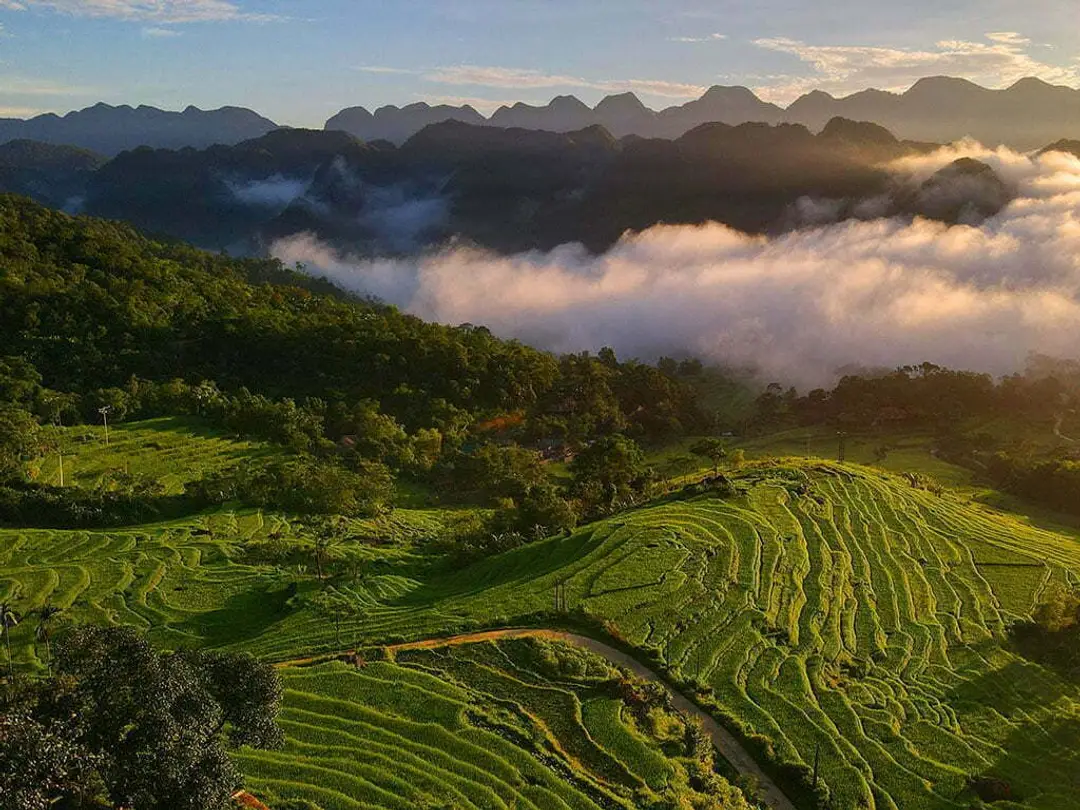 Rizières en terrasses verdoyantes à Pu Luong au Vietnam embrumées au lever du soleil