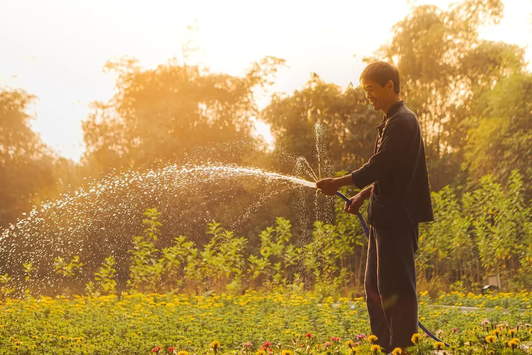 vietnam-8420602_1920.jpg