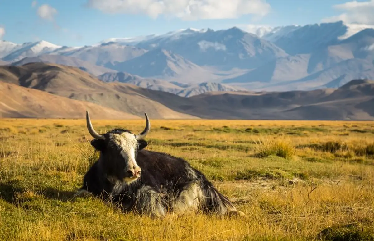voyage-Tadjikistan-traversee-du-Pamir-a-pied-j8