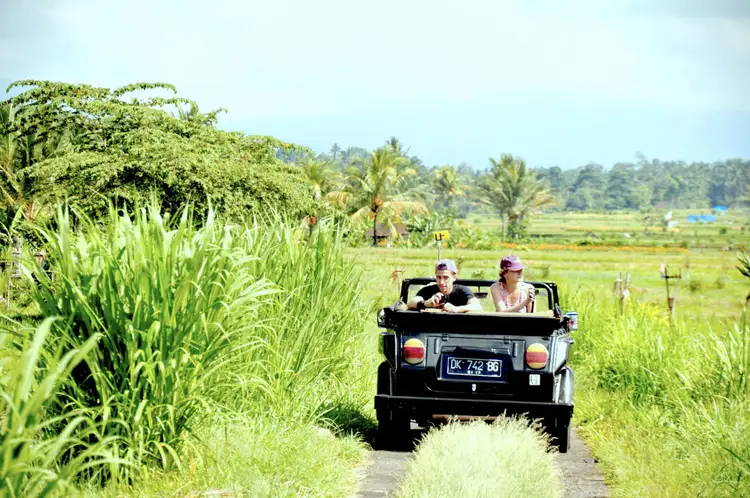 ubud-bali-indonésie-excursion-rizière
