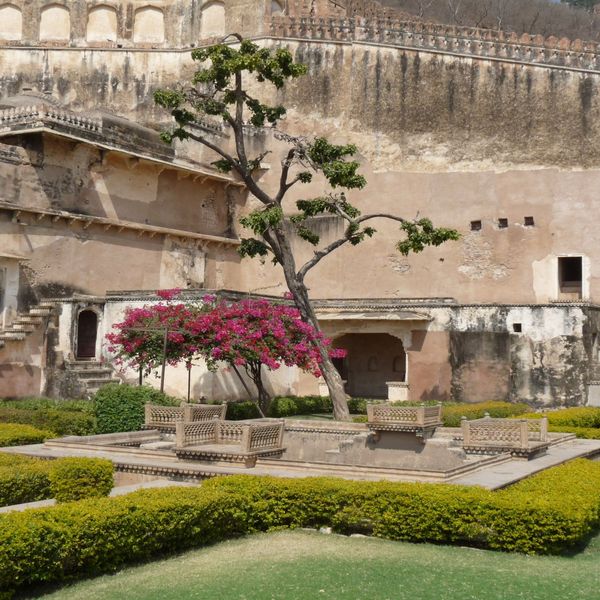 voyage-immersion-petit-groupe-rajasthan-j8