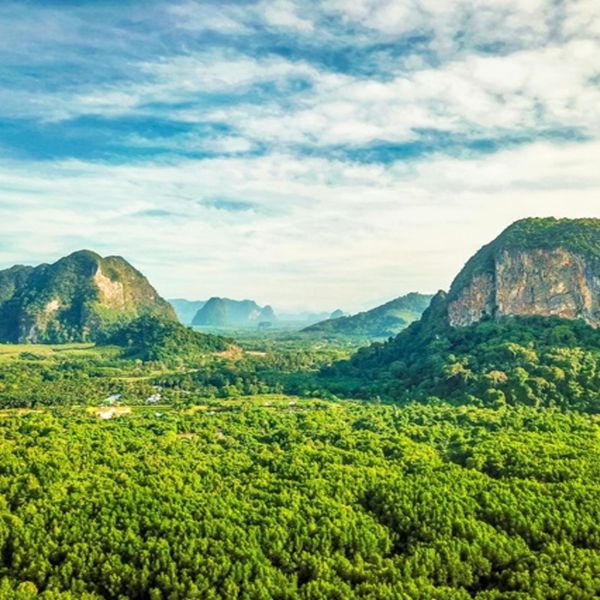 nature-vue-thaïlande-montagne