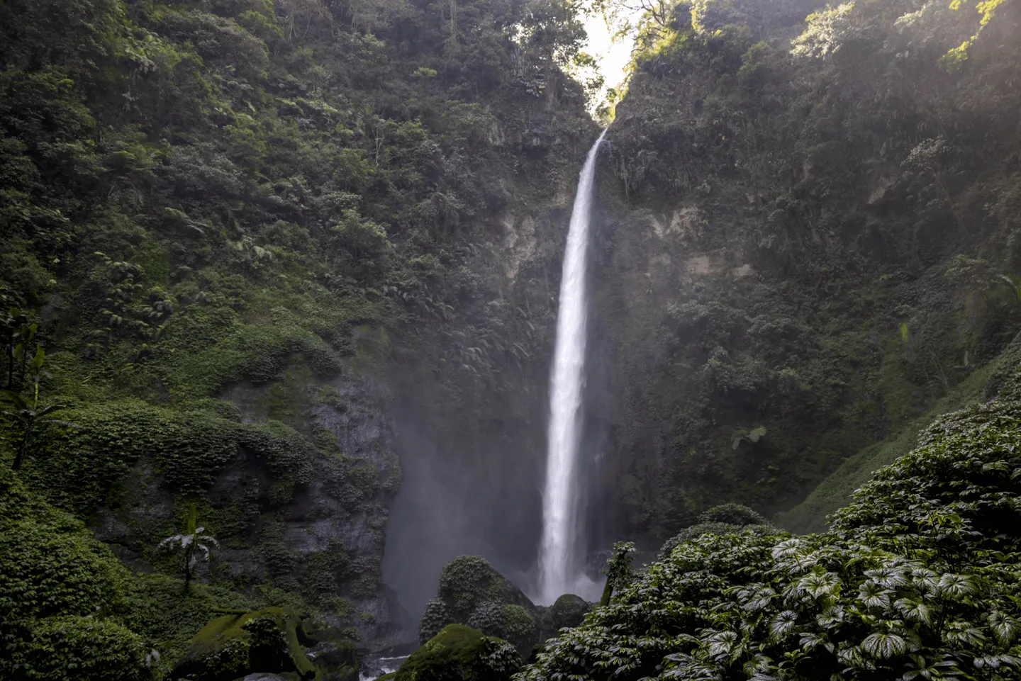Voyage en Indonésie - cascade Coban Pelangi dans le parc national de Bromo Tengger Semeru à Java Voyage en Indonésie - cascade Coban Pelangi dans le parc national de Bromo Tengger Semeru à Java