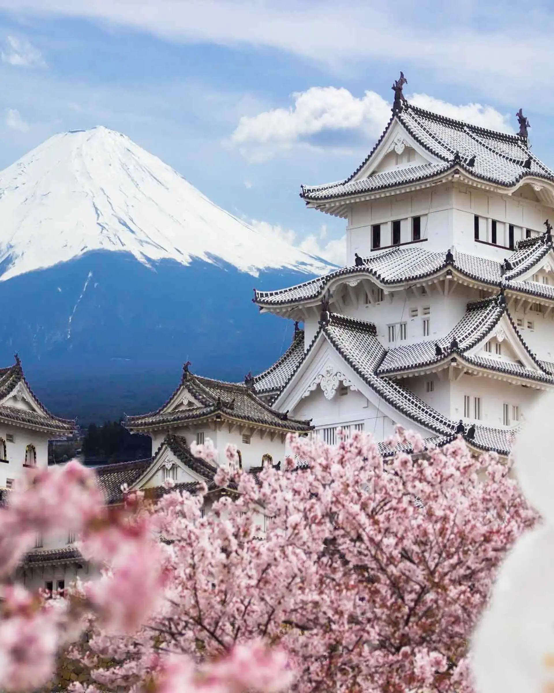 Voyage en Asie – Le mont Fuji enneigé et le château blanc de Himeji entourés de cerisiers en fleurs au Japon.