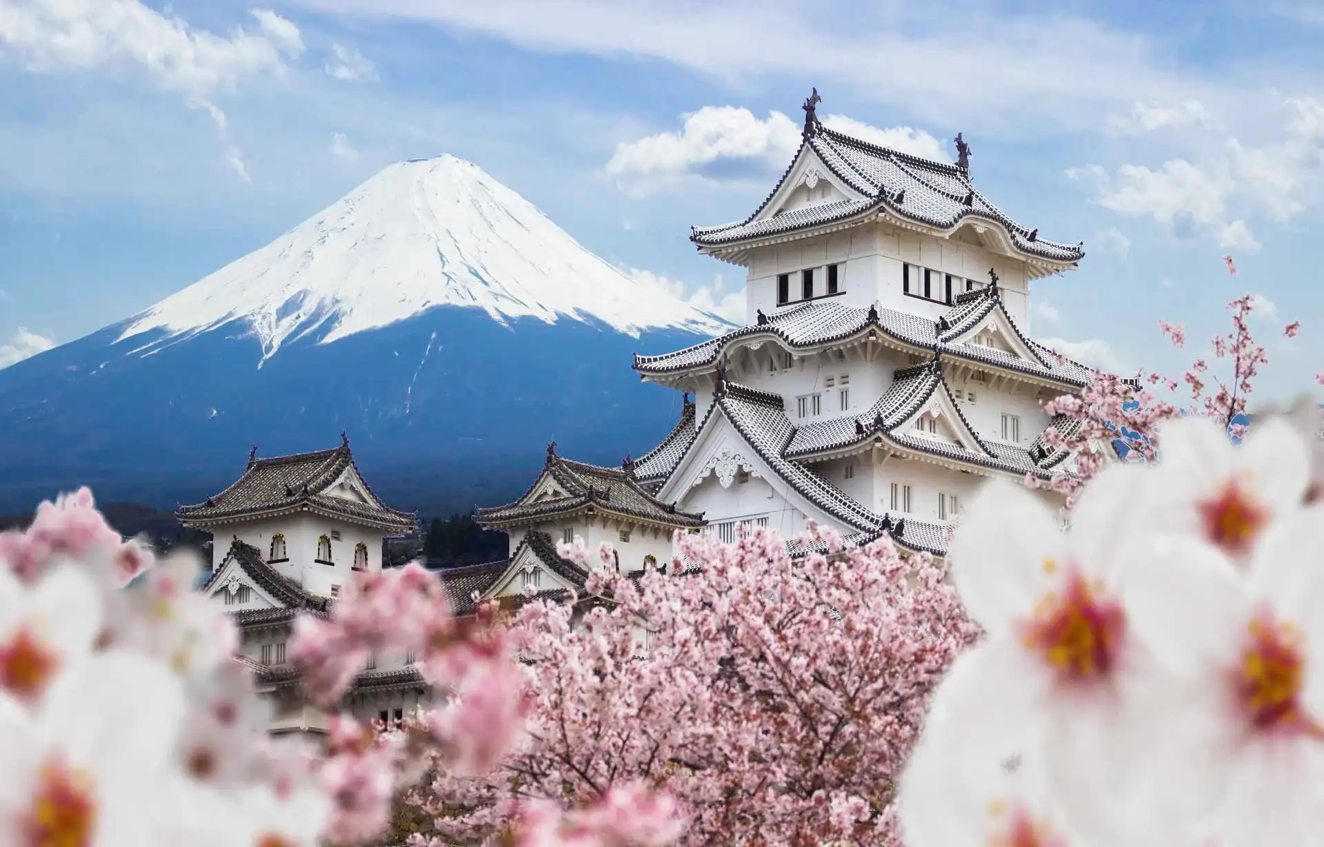 Voyage en Asie – Le mont Fuji enneigé et le château blanc de Himeji entourés de cerisiers en fleurs au Japon.