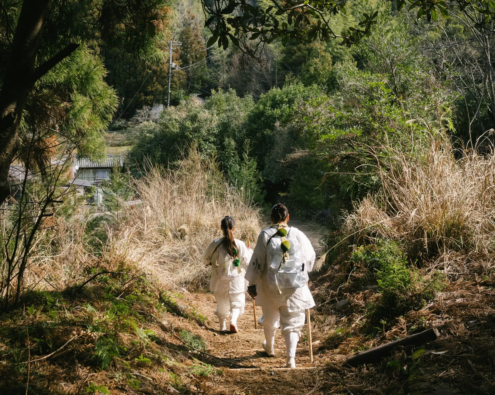 Chemin de pèlerinage au Japon : Kumano Kodo