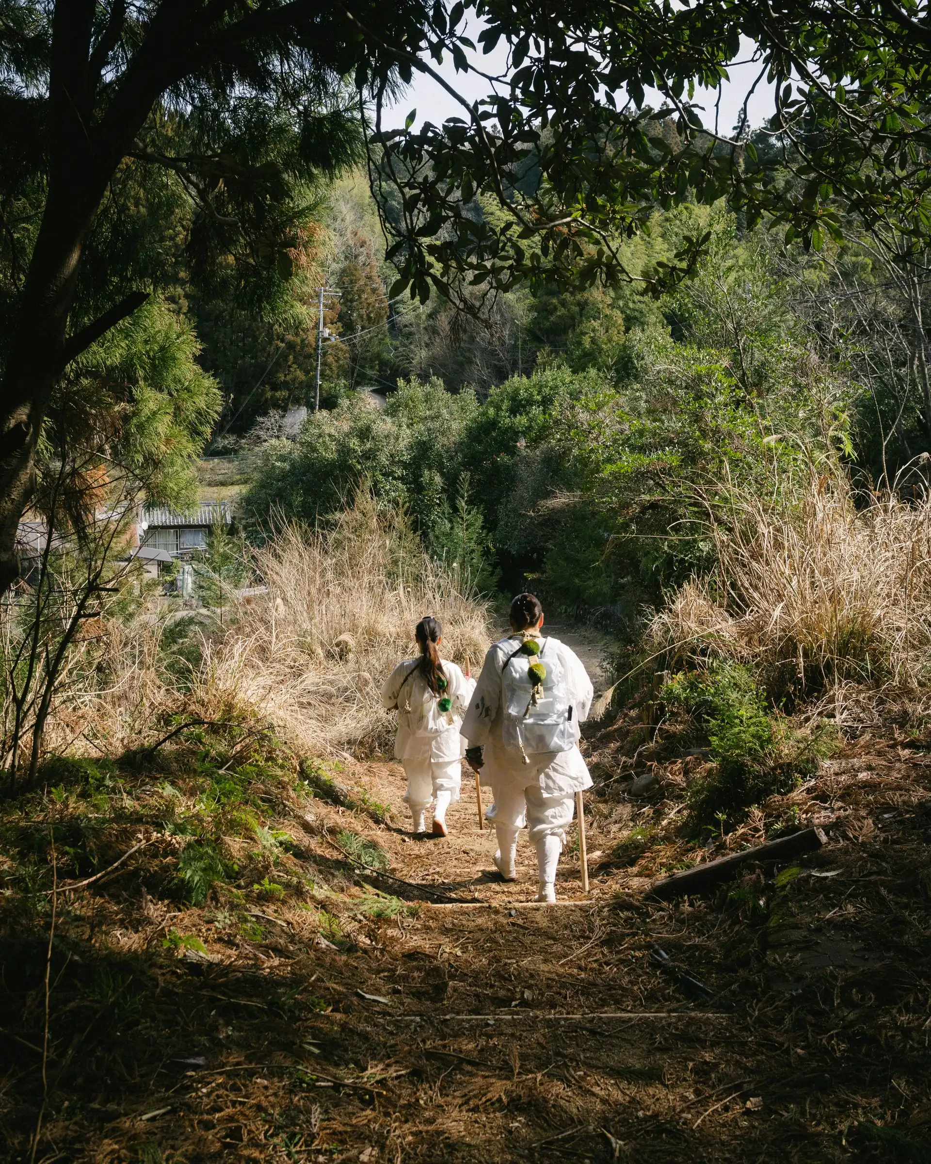 Voyage au Japon – Pèlerins en tenues traditionnelles blanches marchant sur le sentier sacré de Kumano Kodo à travers la forêt.