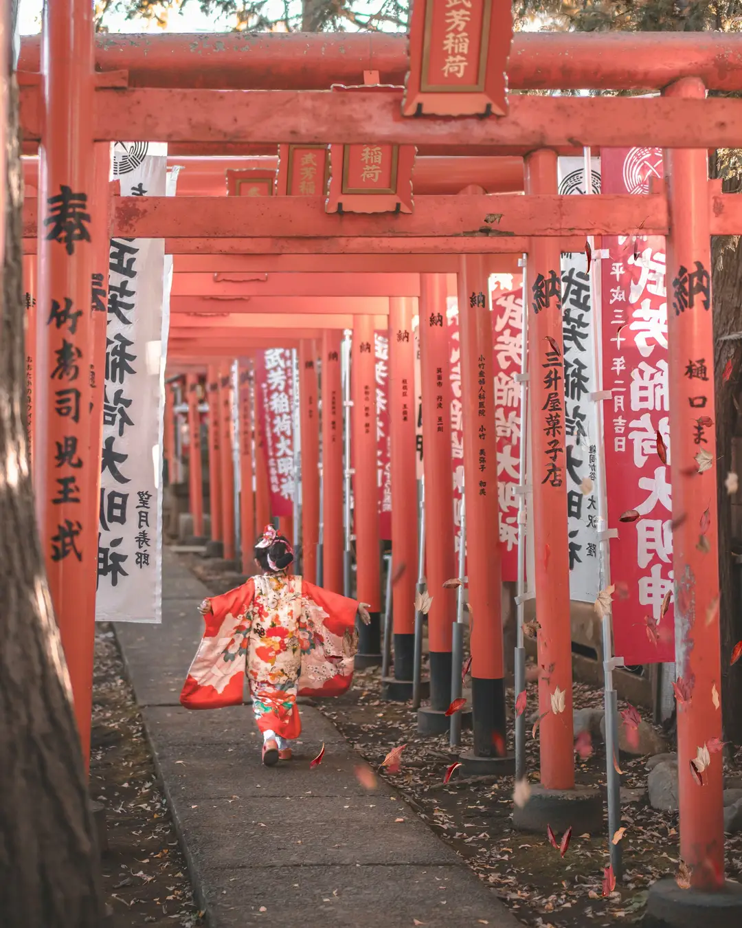 Voyage en famille au Japon - Allemande de portiques torii rouges traditionnels dans un sanctuaire shintoïste à Tokyo.