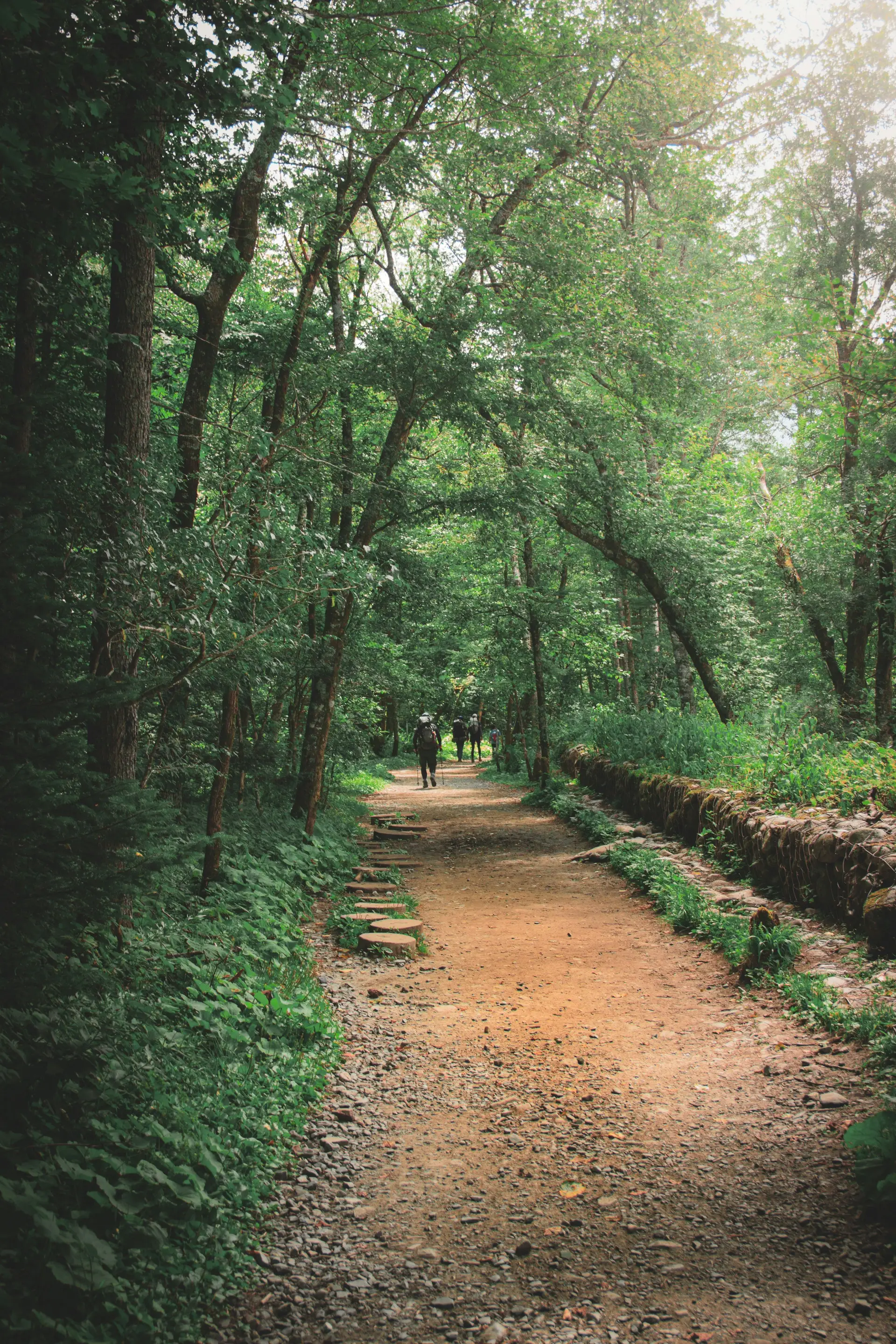 Trek dans la région de Nagano